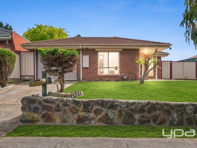 Solid Brick Home with a Big Backyard, Close to Roxburgh Village