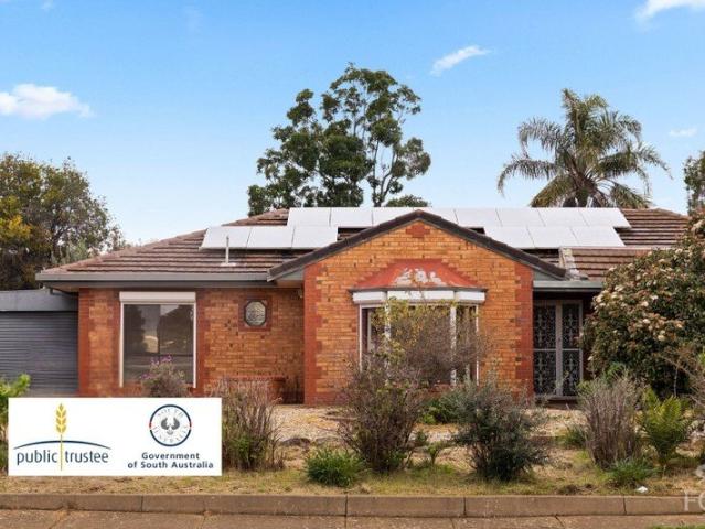 Solid brick home with potential to add value