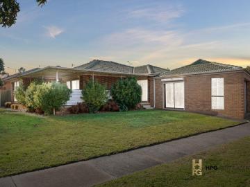 Solid Home, Standout Position