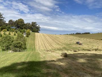 Abbotsham, Central Coast, Tasmania, Walker Island, Cloudy Bay, Kingborough, Tasmania Island