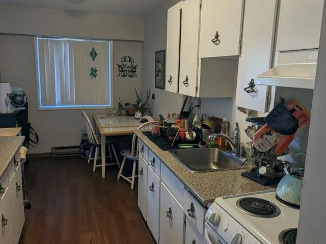 Sophia Has an Apartment