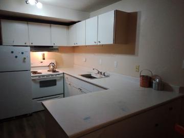 Sophie Leduc Has an Apartment