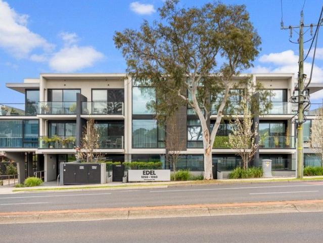 Sophisticated Ground Floor Living in an Elite Dual School Zone