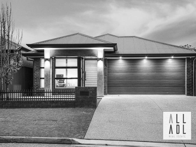 Sophisticated, Stylish & Architecturally Elegant Home Entertainer
