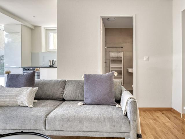 Sophisticated 1 Bedroom Furnished Apartment in Alt Wiedikon, Zurich Amsterdam Apartments for Rent