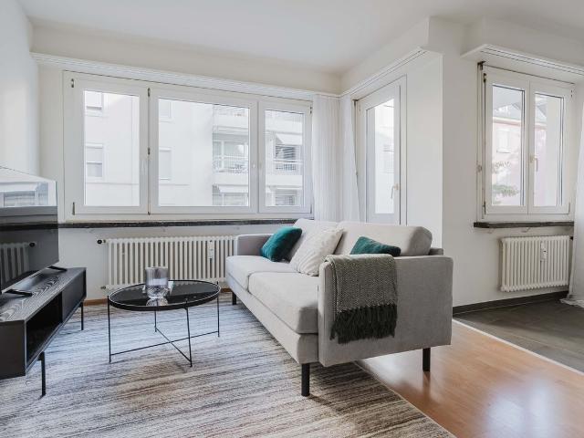 Sophisticated 1 Bedroom Furnished Apartment in Basel Iselin, Basel Amsterdam Apartments for Rent