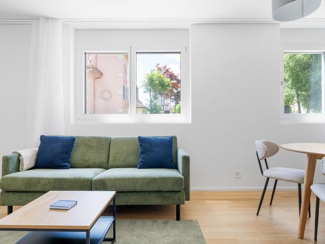 Sophisticated 1 Bedroom Furnished Apartment in Seebach, Zurich Amsterdam Apartments for Rent