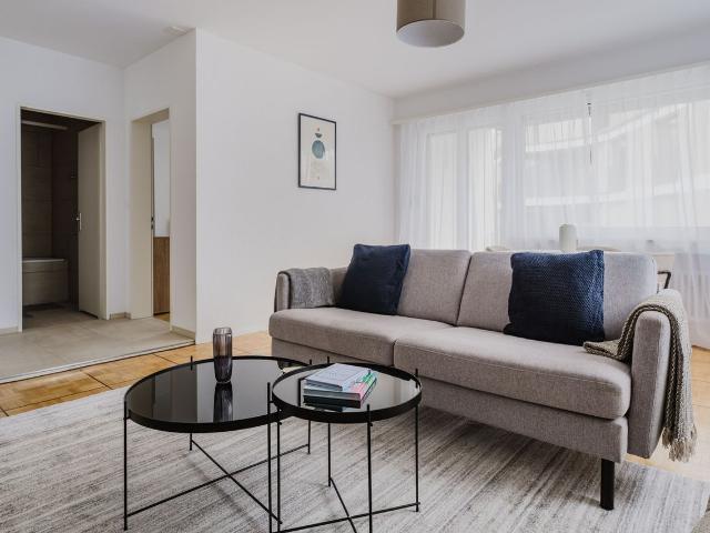 Sophisticated 2 Bedroom Furnished Apartment in Oberstrass, Zurich Amsterdam Apartments for Rent