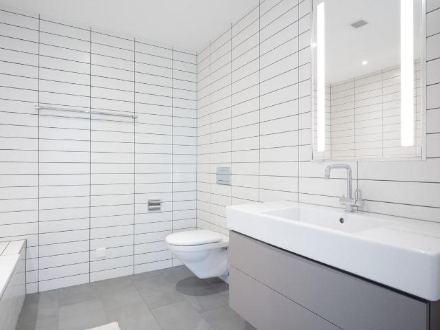 Sophisticated 2 Bedroom Furnished Apartment in Escher Wyss, Zurich Amsterdam Apartments for Rent
