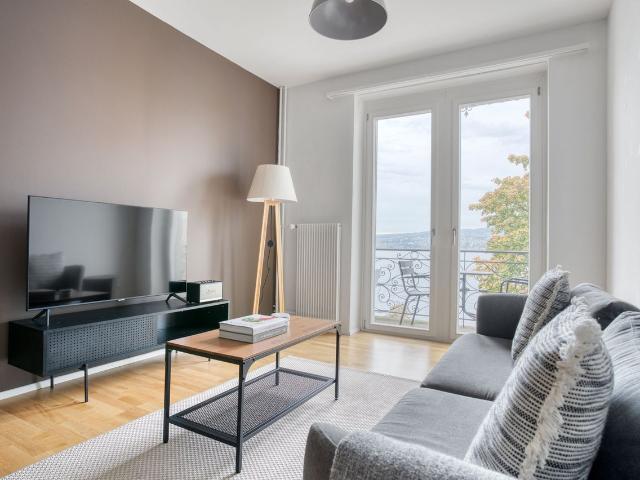 Sophisticated 2 Bedroom Furnished Apartment in Horgen with Lake Views, Horgen Amsterdam Apartments for Rent