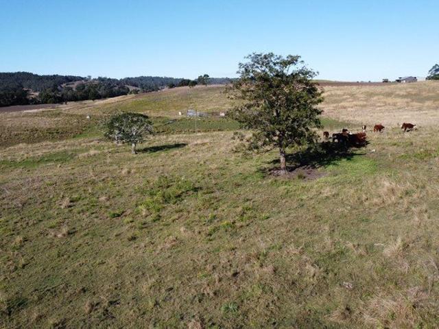 SORT AFTER 257 ACRES LIVESTOCK & CROPPING