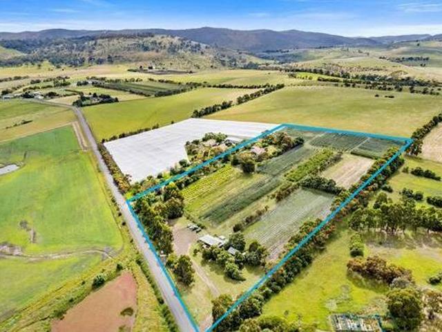 Sorell Orchard Opportunity Thornlea