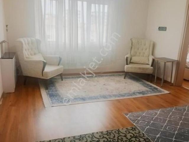 Sosyal Konutlarda 1+1 Eşyalı Kiralık Daire