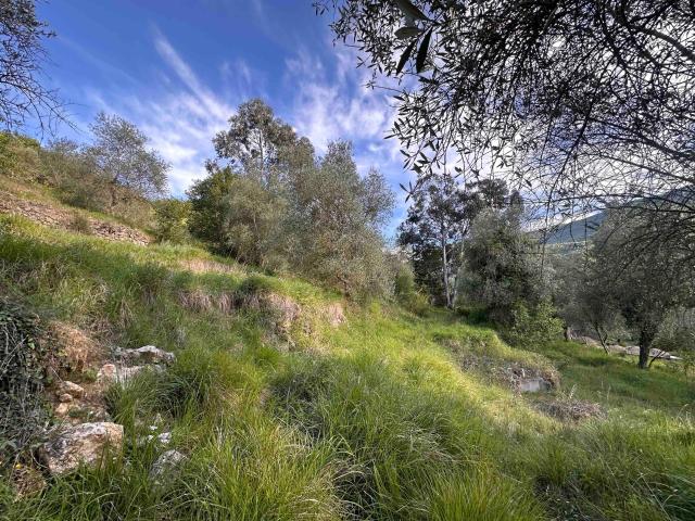 SOSPEL – DOMAINE DE CARACTÈRE SUR PLUS DE 4 HECTARES – 35mn. 490m² Sospel