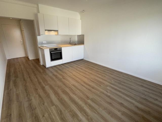 SOTRIAMONT STUDIO RENOVE LUMINEUX 30M2