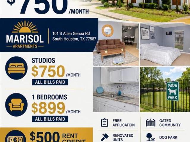 South Houston TX 77587 LS103287002