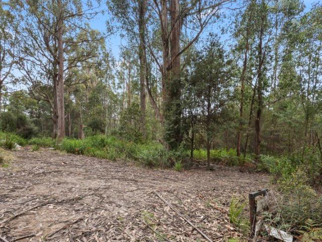 Southern Bushland Retreat