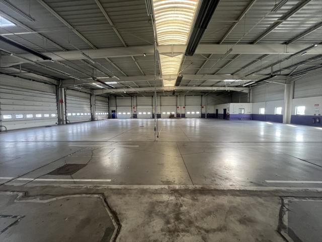 Souffelweyersheim Entrepôt de 3 000m² dont 545m² de bureau. 2994m² Souffelweyersheim