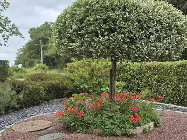 Soulgé sur Ouette 53210 Achat / Vente maison 6 pièces t6