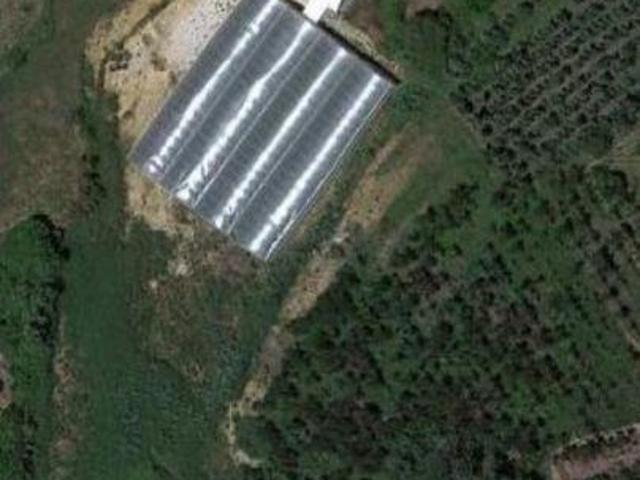 Soure Coimbra 105138314