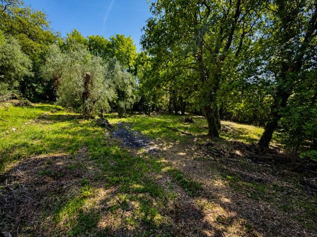Sous Offre Tsl Immo Tourrettes Sur Loup: A Vendre Maison. 111m² Tourrettes sur Loup