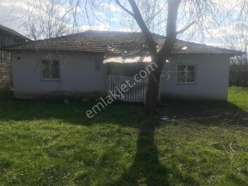 Düzce, Düzce ili, Düzce ili, Karadeniz Bölgesi