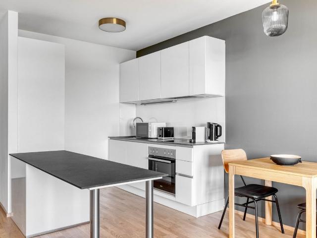 Sleek Brigittenau 1BR w/ Roof & Pvt Loggia, nr Handeskai, Vienna Amsterdam Apartments for Rent