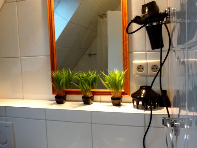 Small top roof apartment in Zehlendorf, Berlin Amsterdam Apartments for Rent