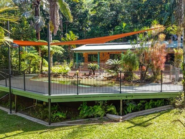 Small Acreage Home in Stunning Rainforest Setting Mission Beach Hinterland, Tropical NQ