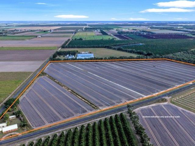 SMALL CROP FARM ALLOWAY QLD IDEAL FIRST FARM OR ADD TO YOUR PORTFOLIO