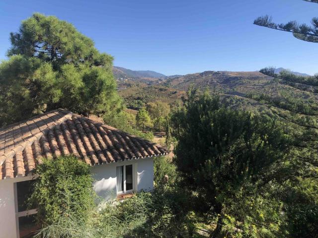 Small House between Marbella & Estepona, Andalusia