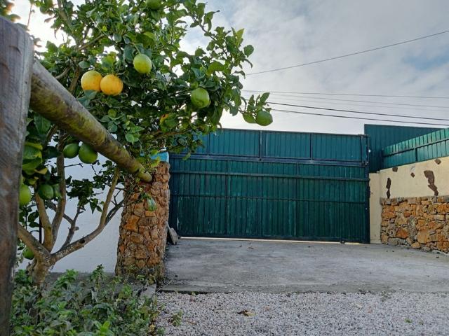 Small House near Sintra