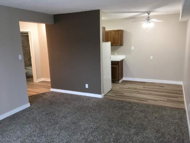 Small Pet Friendly 1 Bedroom Suite with Elevator! 2 Weeks Free Rent!