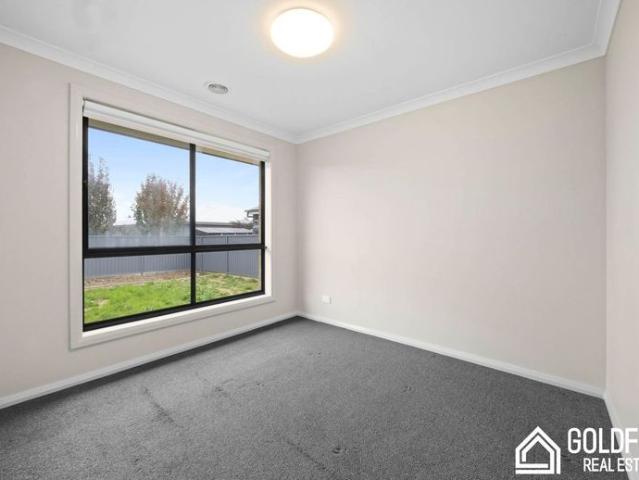 Smart, Stylish Spacious for lease 4 Bedroom House in Alfredton VIC