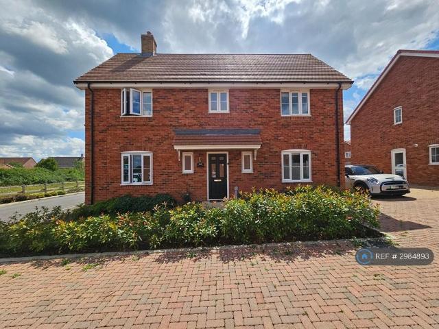 Snowdrop Avenue, Norwich, NR4 4 bed detached house to rent £2,400 pcm £554 pw