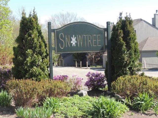Snowtree Ln Unit Willowsk, Dover, Condo For Sale