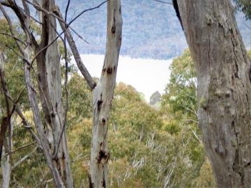 Anglers Reach, Snowy River, Victoria
