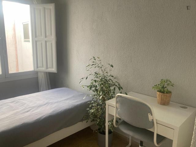 Snug single bedroom in Mercado
