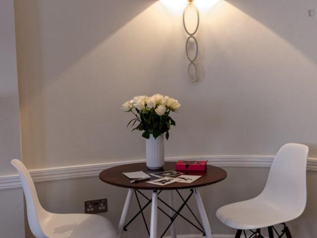 Snug 1 bedroom apartment located in the heart of Marylebone Village Has an Apartment