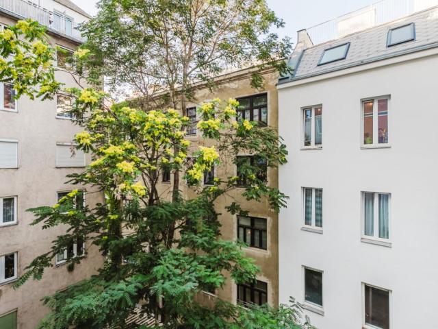 Snug 1 bedroom flat in Matzleinsdorf