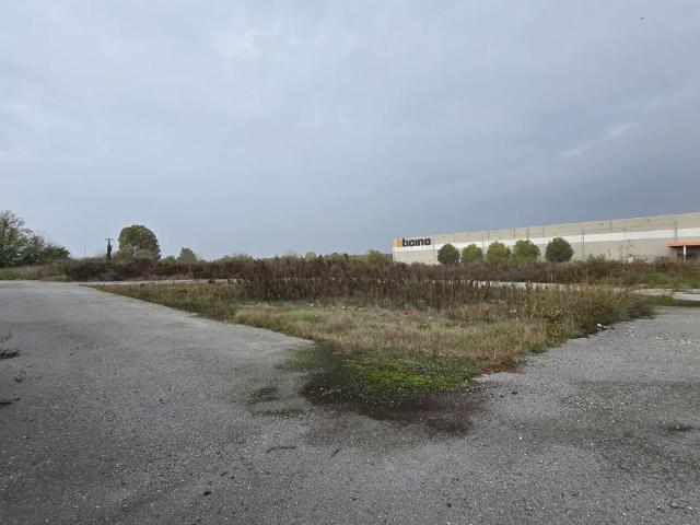 SP234 8 17000mq