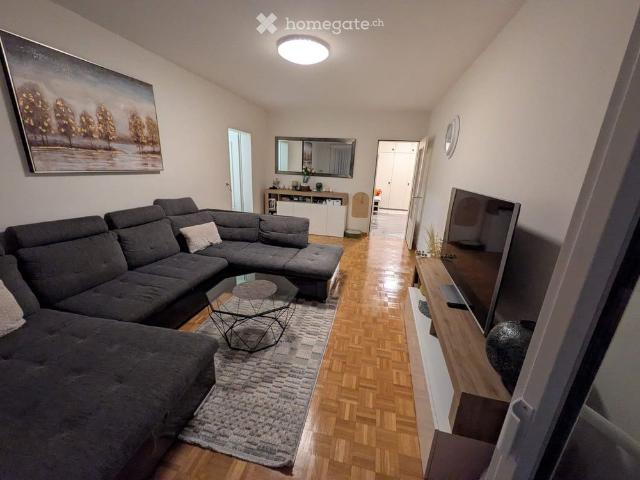 Spazioso 4.5 locali ammobiliato con due terrazze a Locarno