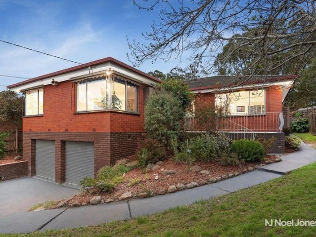 Space to Grow, Room to Live & a Backyard Made for Family Life