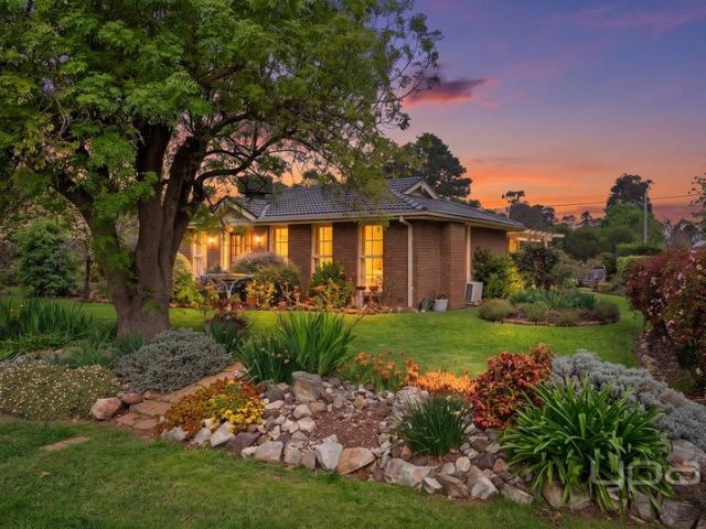 SPACE, COMFORT & A TASTE OF COUNTRY LIFE