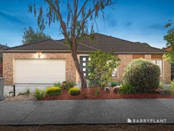 Space, Comfort and Endless Family Appeal