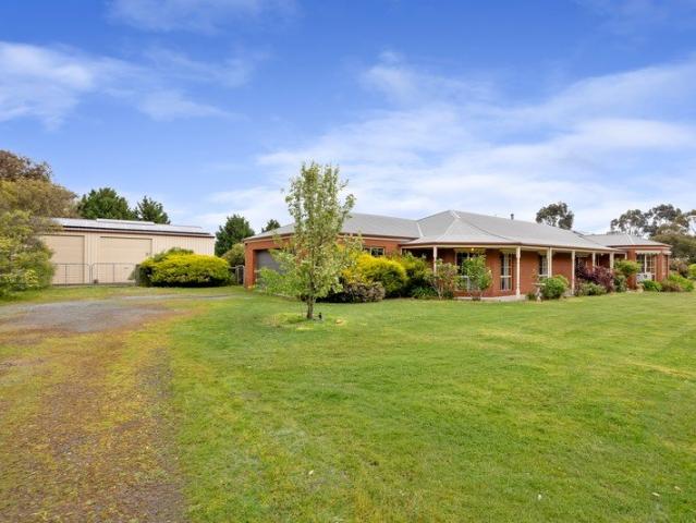 Space, Comfort and Family Living in Popular Cardigan