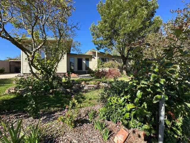 Space, Comfort & Lifestyle Living on a Generous Corryong Block