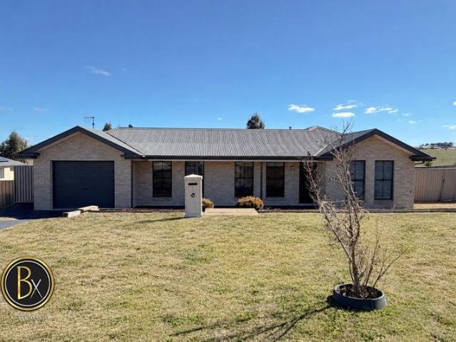 Space, Comfort & Serious Shedding On 1,012m² In Kelso