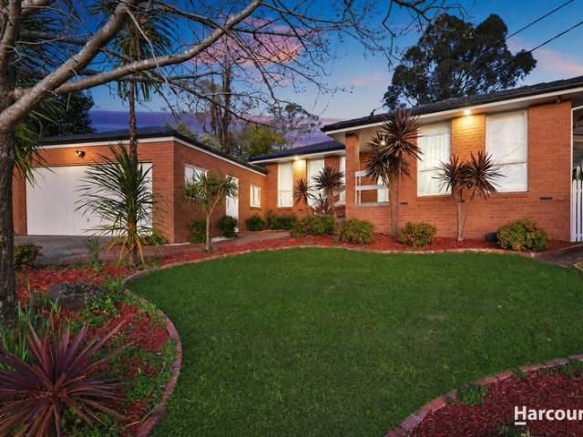 Space, Flexibility & Family Comfort in Ringwood North