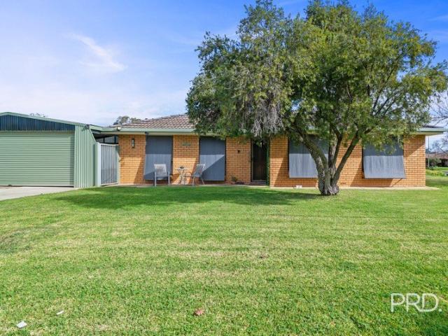 Space, Potential and Position in Glenfield Park